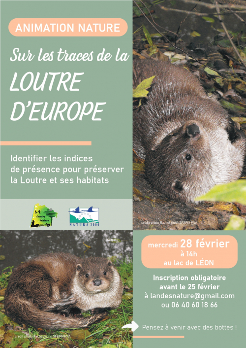 2024_loutre_L&eacute;on_page-0001.jpg