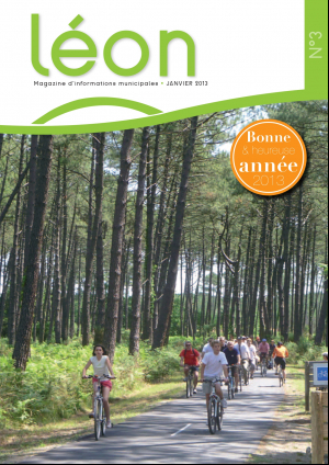 Bulletin+Janvier+2013_pages-to-jpg-0001.jpg
