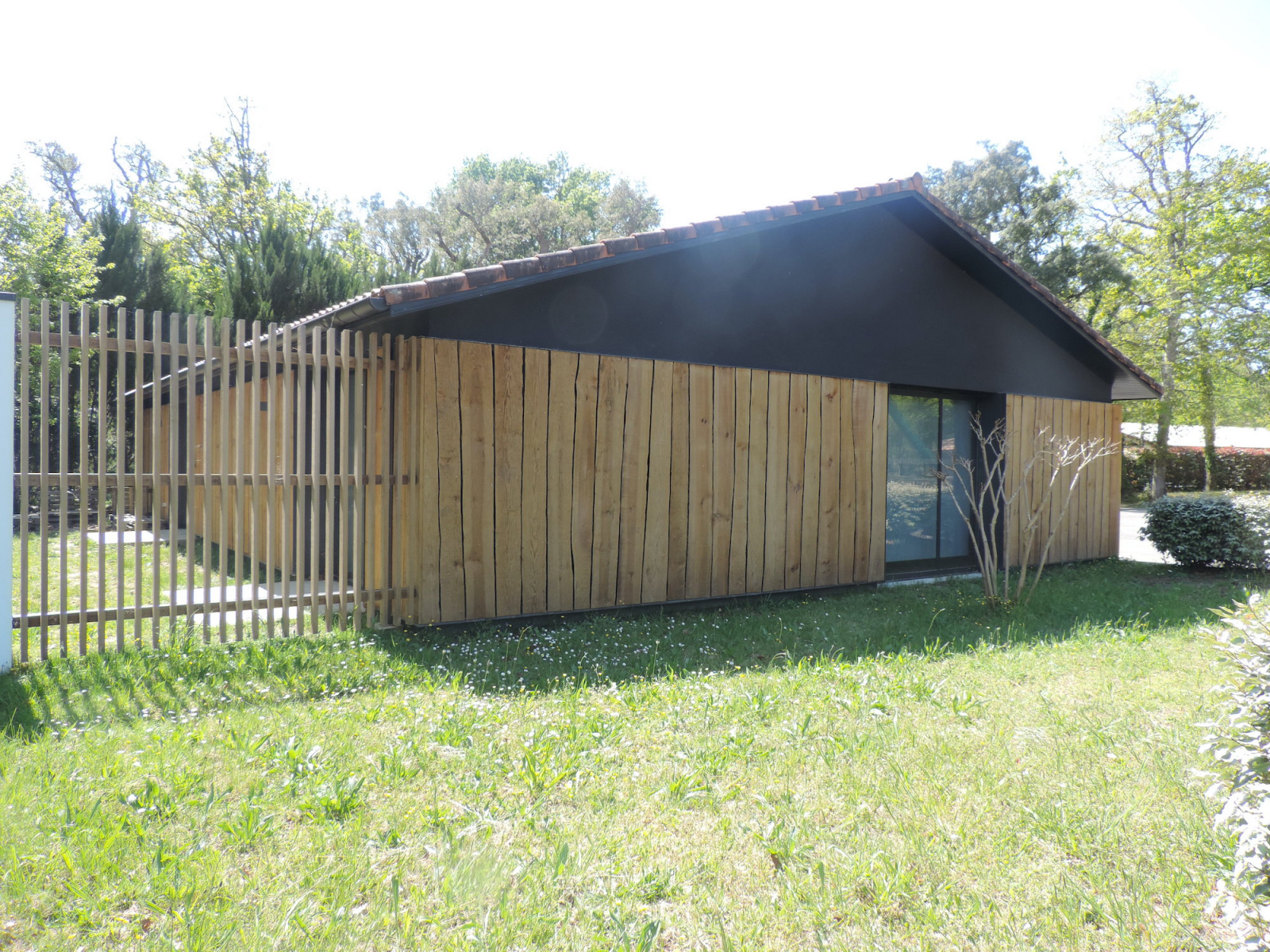 DSCN2774.jpg